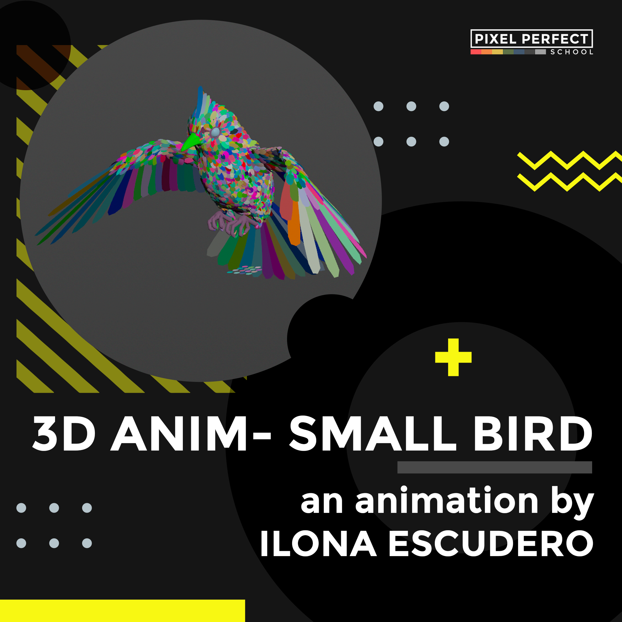 3DModels_SMALL_BIRD